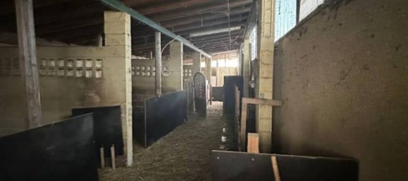 Armazém de 3 divisões em Sant'Alessio con Vialone, Italy N.º 356259 49