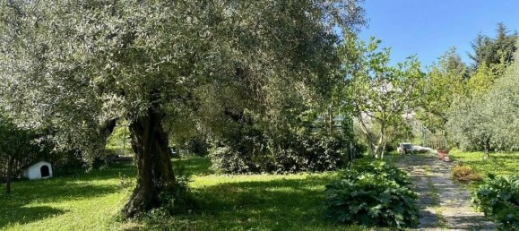 10غرفة منزل في Jesi, Italy رقم 133629 6