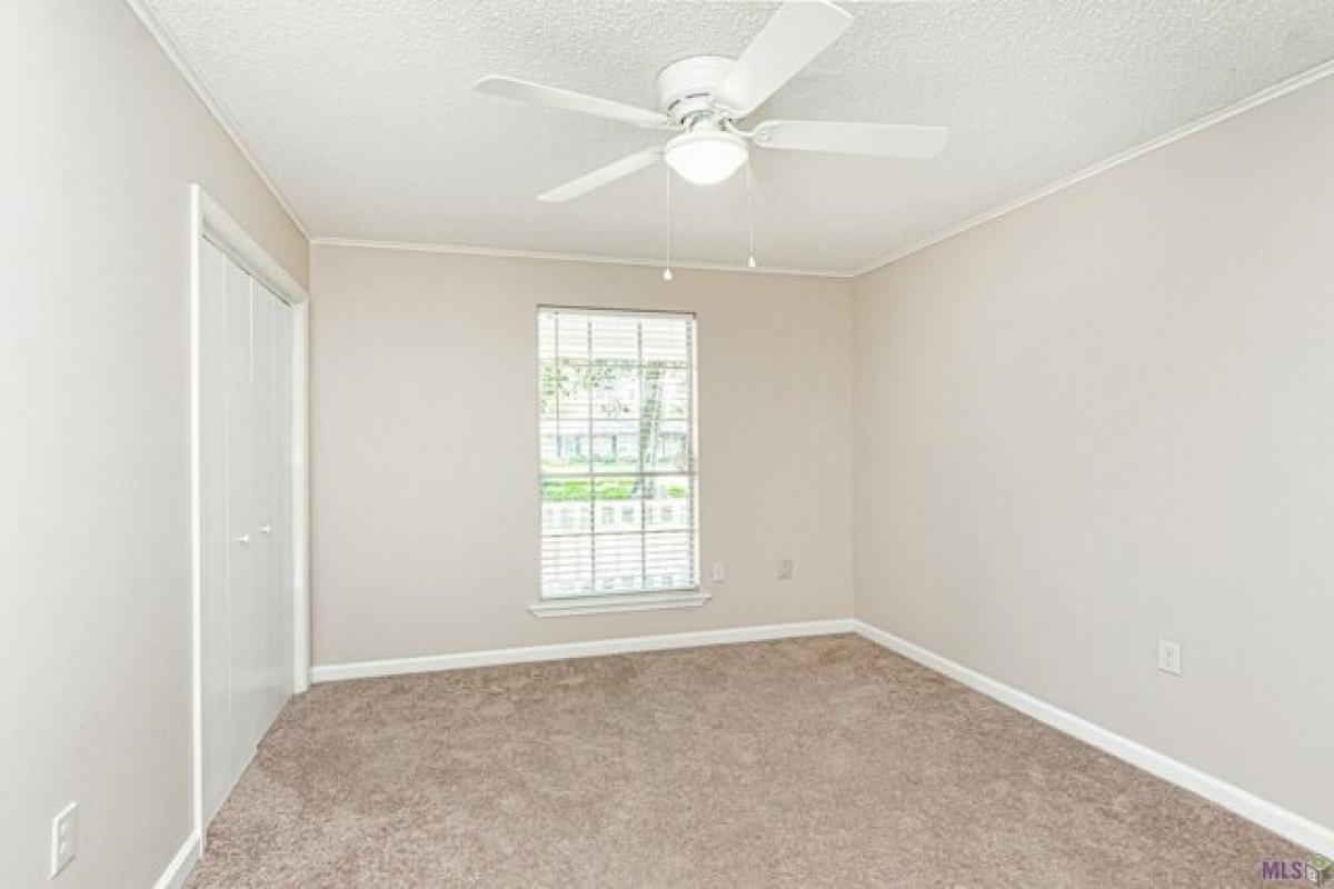 3 bedrooms House in Greenwell Springs, USA No. 398638