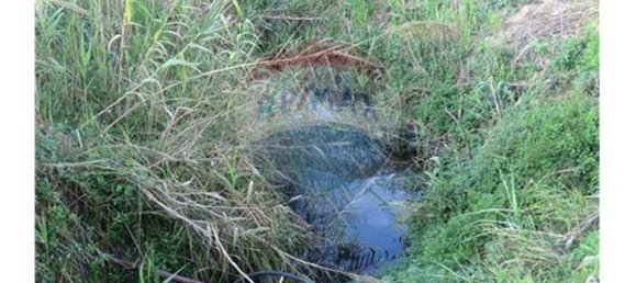 9037m² Land in Nazare, Portugal No. 68610 8