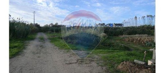 9037m² Land in Nazare, Portugal No. 68610 6