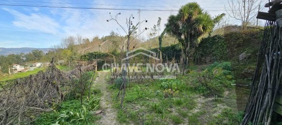 2 bedrooms House in Cinfaes, Portugal No. 49182 33