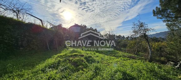 2 bedrooms House in Cinfaes, Portugal No. 49182 35