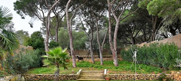 4 chambres Maison à Cascais, Portugal No. 7237 4