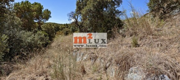 Grundstück in Calonge, Spain, Nr. 13328 3