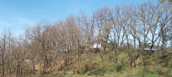 Casa de 4 divisões em Malvito, Italy N.º 252111 13