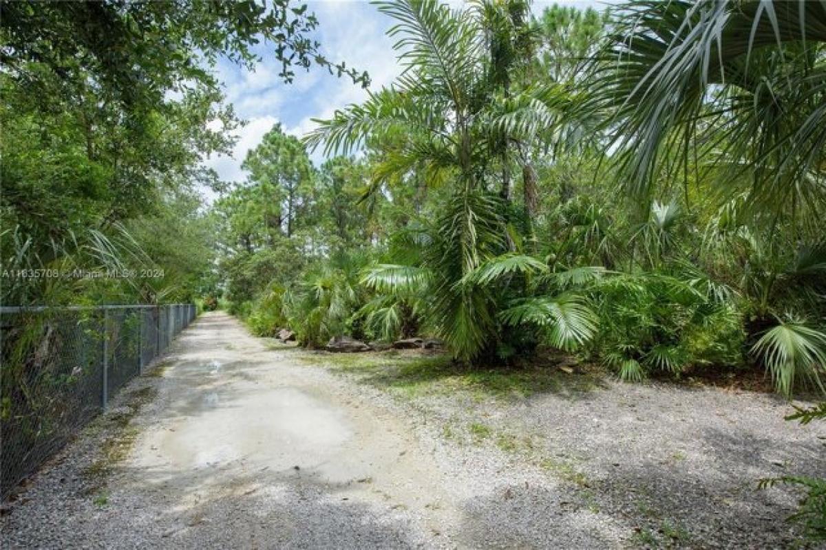 4 chambres Maison à Homestead, USA No. 440709