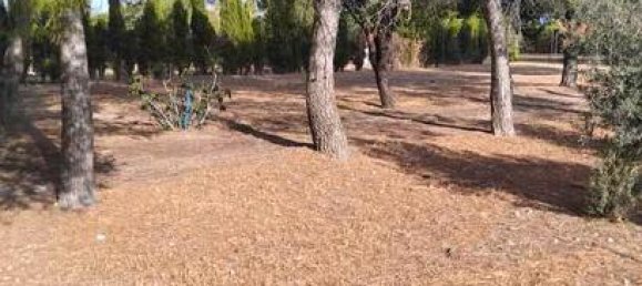 3 bedrooms House in Albacete, Spain No. 183064 2