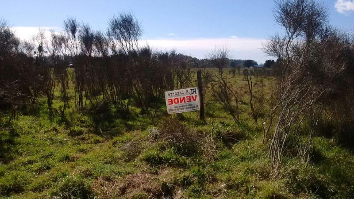 6300m² Commercial property in Mar del Plata, Argentina No. 108927