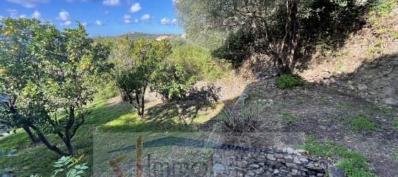 Villa de 4 dormitorios en Lumio, France No. 88048 12