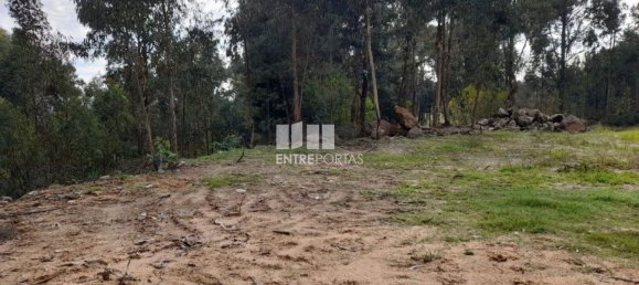 2475m² Land in Amarante, Portugal No. 57456 2