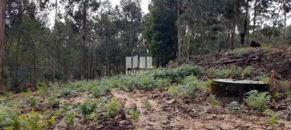 2475m² Land in Amarante, Portugal No. 57456 19