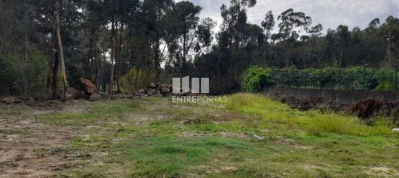 2475m² Land in Amarante, Portugal No. 57456 34