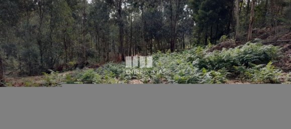 2475m² Land in Amarante, Portugal No. 57456 10