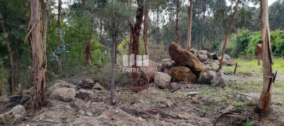 2475m² Land in Amarante, Portugal No. 57456 25