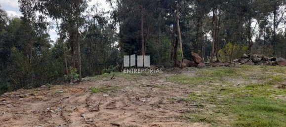 2475m² Land in Amarante, Portugal No. 57456 3