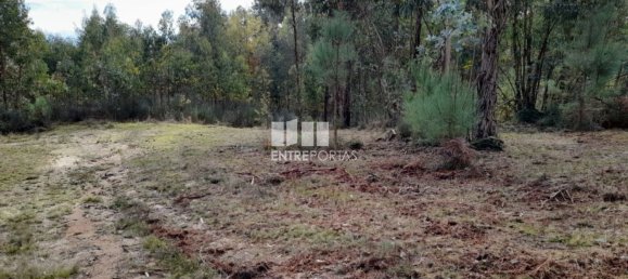 2475m² Land in Amarante, Portugal No. 57456 11