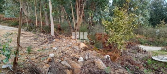 2475m² Land in Amarante, Portugal No. 57456 27