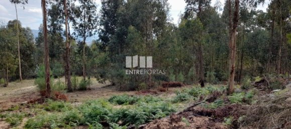 2475m² Land in Amarante, Portugal No. 57456 32