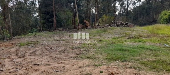 2475m² Land in Amarante, Portugal No. 57456 4