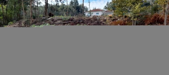 2475m² Land in Amarante, Portugal No. 57456 16