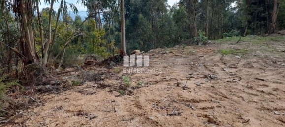 2475m² Land in Amarante, Portugal No. 57456 5