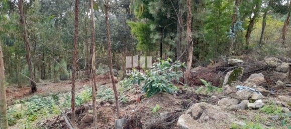 2475m² Land in Amarante, Portugal No. 57456 28