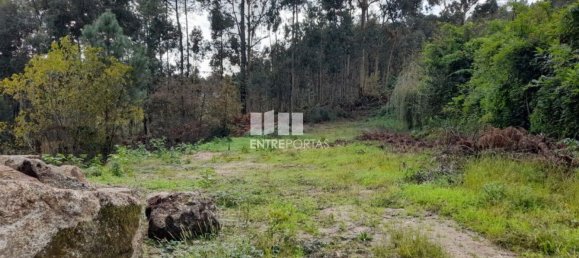 2475m² Land in Amarante, Portugal No. 57456 23