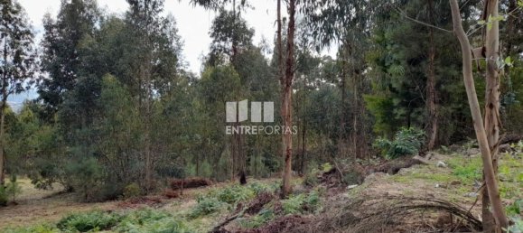 2475m² Land in Amarante, Portugal No. 57456 29