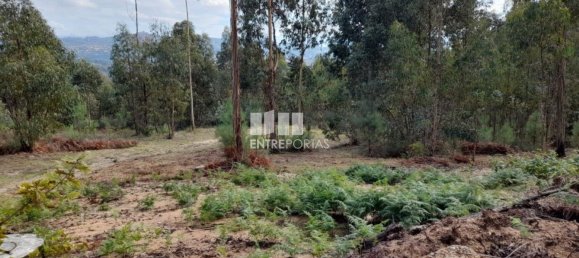 2475m² Land in Amarante, Portugal No. 57456 33