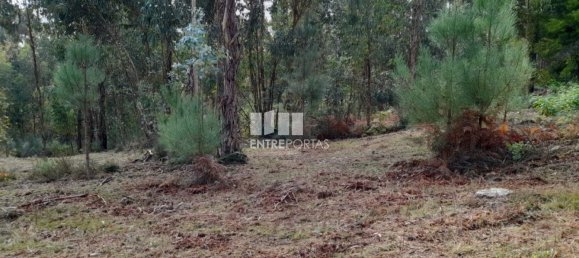 2475m² Land in Amarante, Portugal No. 57456 12