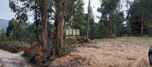 2475m² Land in Amarante, Portugal No. 57456 18