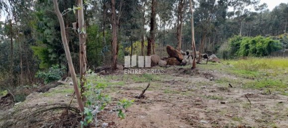 2475m² Land in Amarante, Portugal No. 57456 30