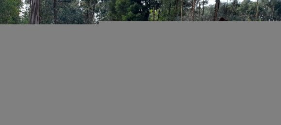 2475m² Land in Amarante, Portugal No. 57456 17