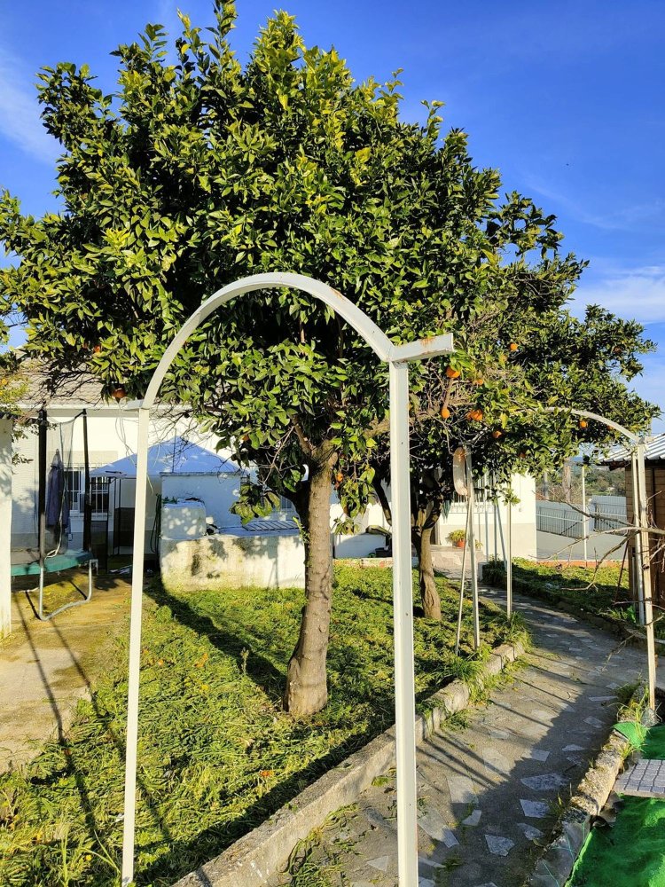 3 bedrooms House in Torres Novas, Portugal No. 323178