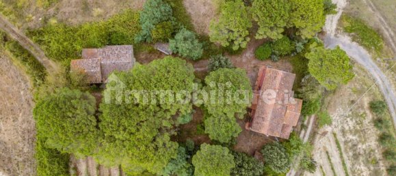 5 chambres Maison à Fauglia, Italy No. 303931 8