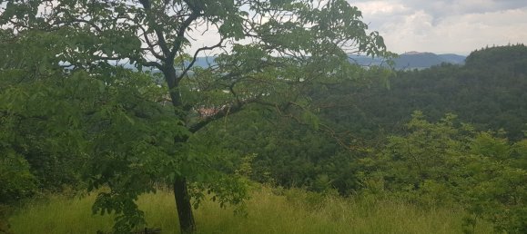  Land in Wurmla, Austria No. 134156 6