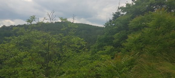  Land in Wurmla, Austria No. 134156 2