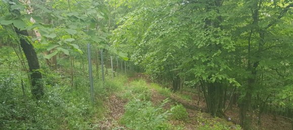  Land in Wurmla, Austria No. 134156 9