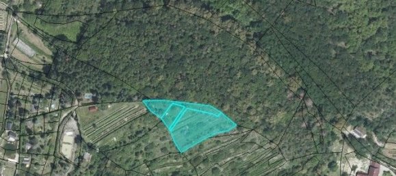  Land in Wurmla, Austria No. 134156 10