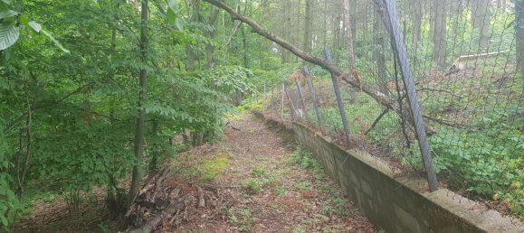  Land in Wurmla, Austria No. 134156 8