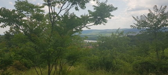  Land in Wurmla, Austria No. 134156 4