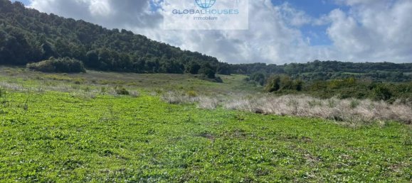 Terreno de 1 divisão em Anguillara Sabazia, Italy N.º 27975 4
