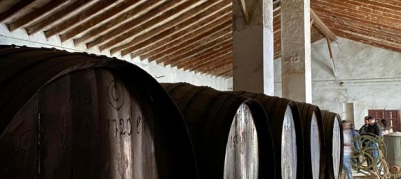 tienda en venta en Pinoso, Alicante, Comunidad Valenciana, Spain № 366243 3