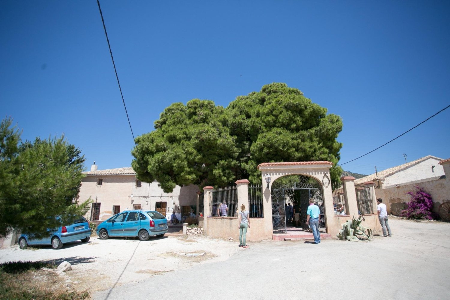 tienda en venta en Pinoso, Alicante, Comunidad Valenciana, Spain № 366243