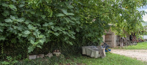 3 غرف نوم منزل في Badia Calavena, Italy رقم 272204 26