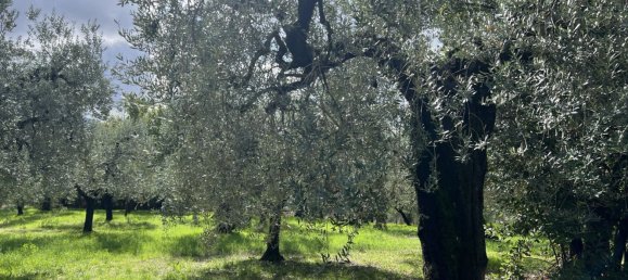 11 rooms House in Narni, Italy No. 50311 38