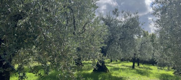 11 rooms House in Narni, Italy No. 50311 39