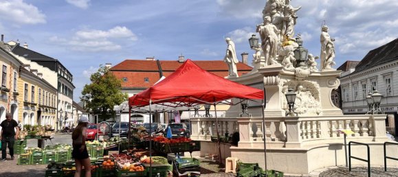 564m² Office in Modling, Austria No. 226548 23