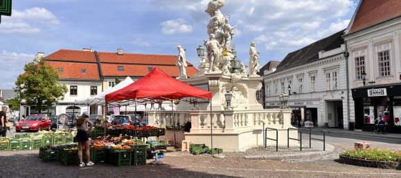 564m² Office in Modling, Austria No. 226548 22